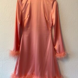 Elegant Pink Feather-Trimmed Dress